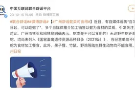 广州辟谣蛇类可食用图片