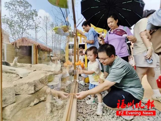 福州这些地方，假期超火！你去打卡了吗？