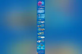 燃动“五一”·活力首钢 | 首届北京极限运动汇热力启幕！图片