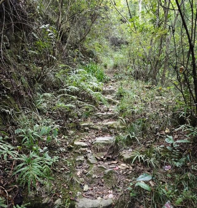 龙场九驿纪行丨阁鸦驿：鸦飞不到的传奇