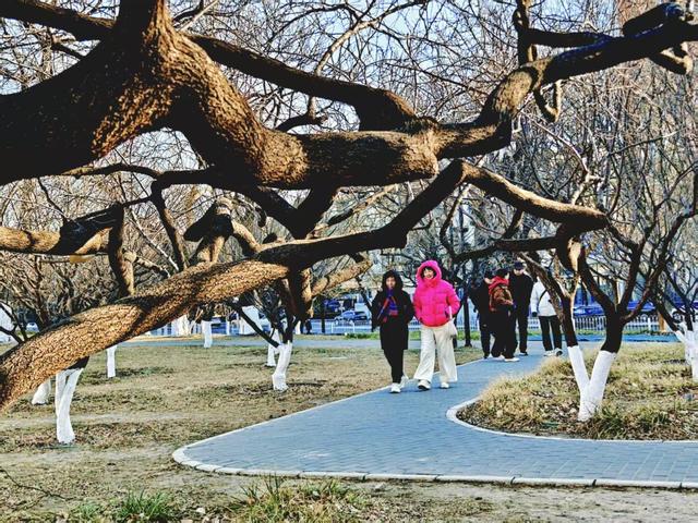 冬日午后，来明城墙遗址公园邂逅静谧时光