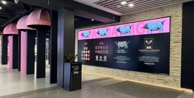 “熊猫猪猪”驾到！8月1日起，路过金华服务区别错过