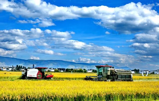 “彩云”之南 名不虚传！祥云已至，假期预定！