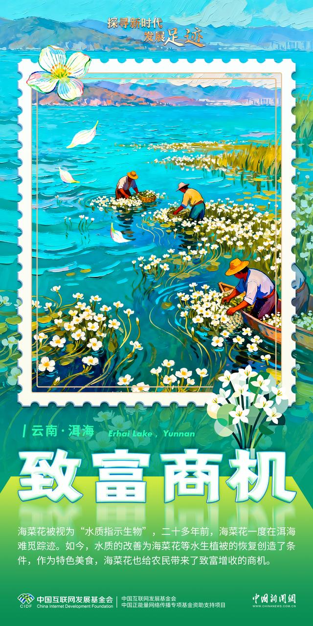 碧水映苍山，洱海走出人水和谐之路