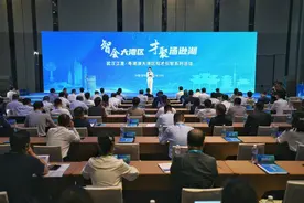 智会大湾区·才聚汤逊湖，武汉江夏区向全球发出“英雄帖”图片