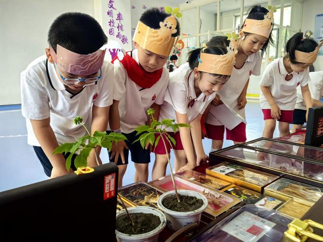 当生态课遇见游考现场！东北师大附小繁荣校区一二年级小萌娃用五色视角解码生命奥秘