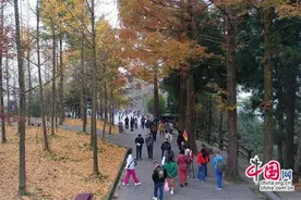 张家界：入境游持续火热 武陵源吸引力拉满图片