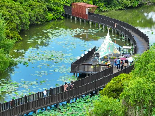 抓住节日的尾巴,缓游、慢游、悠游南沙~