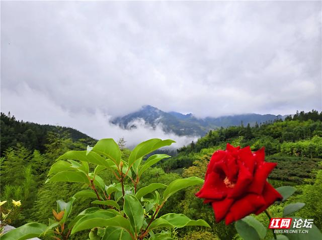何必去远方？在桂东，我遇见23℃的夏天
