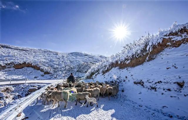 【冬季暖阳 凉山不凉】2026年的第一个旅游目的地，尽管来这！