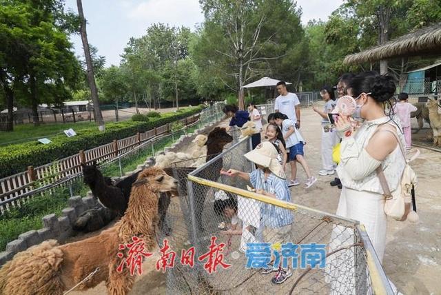 济南动物园暑期人气旺，亲子游成主流