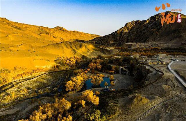 酒泉阿克塞多坝沟胡杨峡　隐藏着大西北的极致秋色