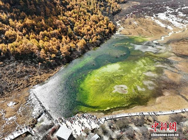 稻城亚丁秋色美