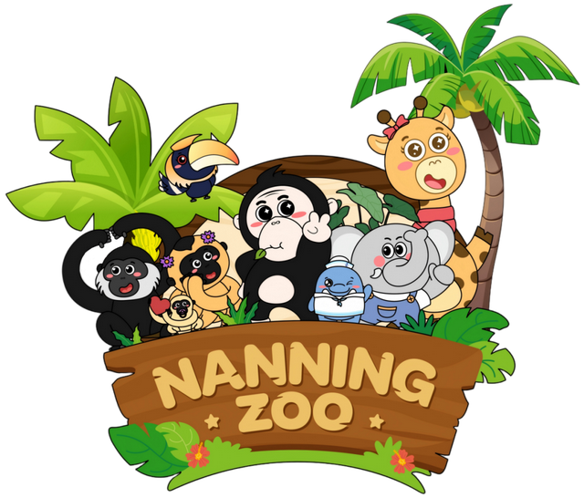 跟着演唱会去旅行 | 当胡夏的音浪遇上邕城烟火！这份文旅宠粉攻略，温暖你的星光之夜！