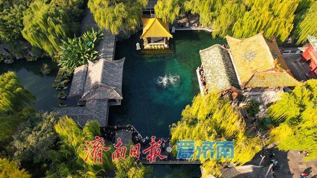 一年四季 泉在济南丨趵突泉秋景如画 泉涌叶舞醉游人