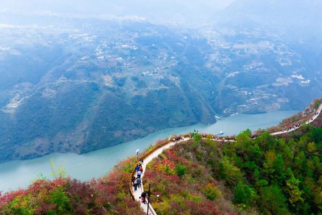 巫峡红透时，才懂中国秋天的壮阔
