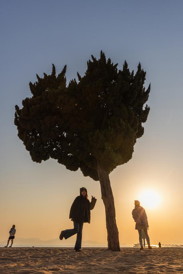 “爱心”树下 暮色醉人