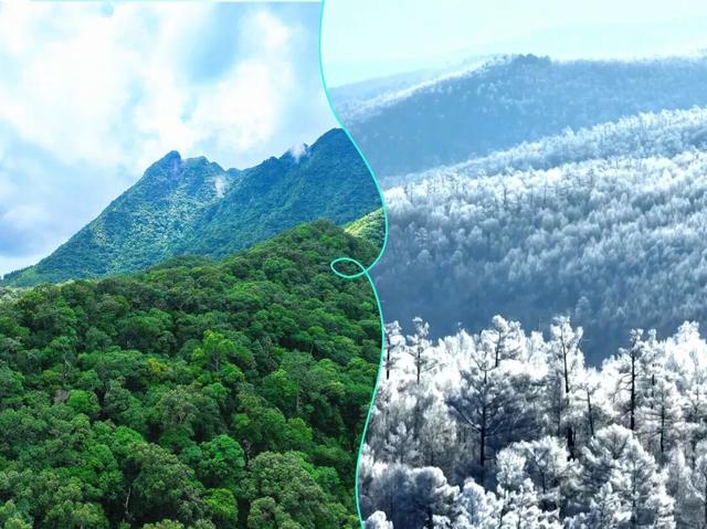 跨越50℃的温差，过两个冬天！中国冬季最远的“撞色CP”来啦！