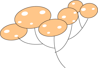 一年逛两次莲花西路，每次都有新感觉