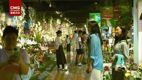 这个双节，泉州火出圈！总台多档新闻聚焦泉州文旅