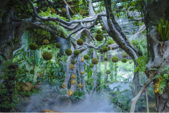 跟着邕BA游南宁！解锁“白天打卡、晚上观赛”的打卡全指南