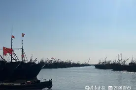 开海倒计时丨日照岸上“新渔民”闯出电商“新蓝海”图片