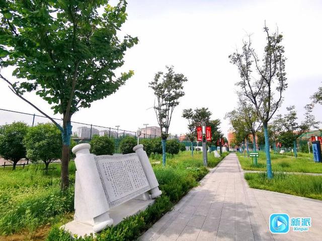 遛娃健身学知识！潍坊这个公园太“全能”