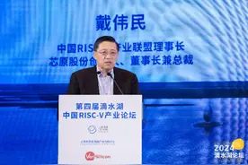 第四届滴水湖中国RISC-V产业论坛在临港举行图片