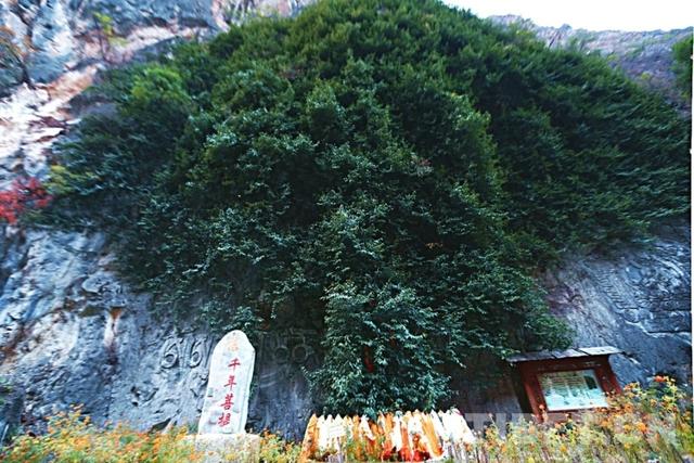 再访斯那定珠：巴拉格宗焕新记
