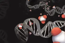 科普｜最新研究揭示吸烟如何改变免疫系统，戒烟后会发生什么？图片