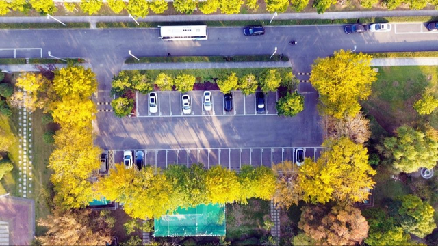 宿城，已经美成这样！