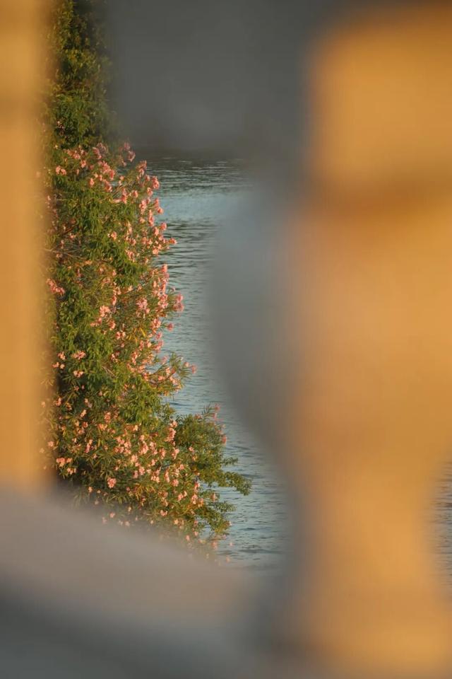 冬日暖阳里，来丰泽这儿享受惬意时光……