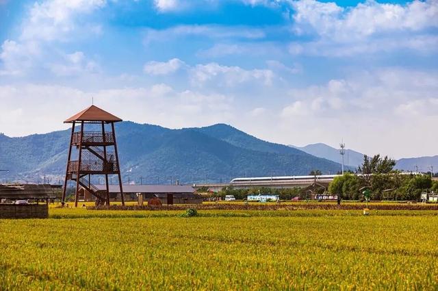 现在的宜兴，已经美成这样了……