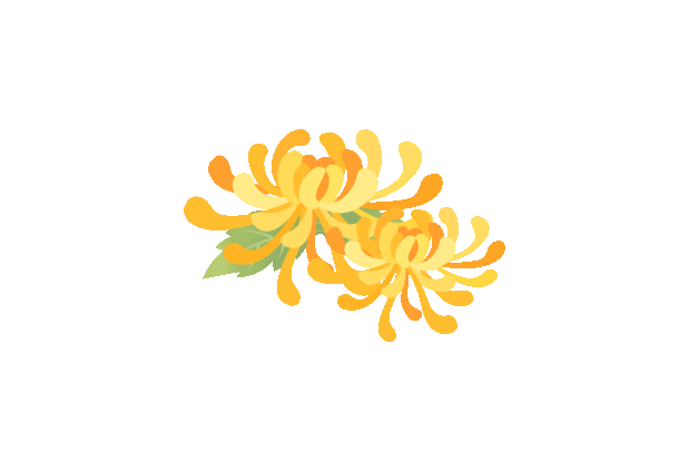 乐山这里的菊花即将迎来盛花期，足足有50多种，约吗？