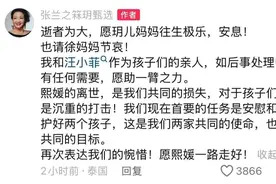 张兰发文悼念，大S儿女抚养权或重归汪小菲图片