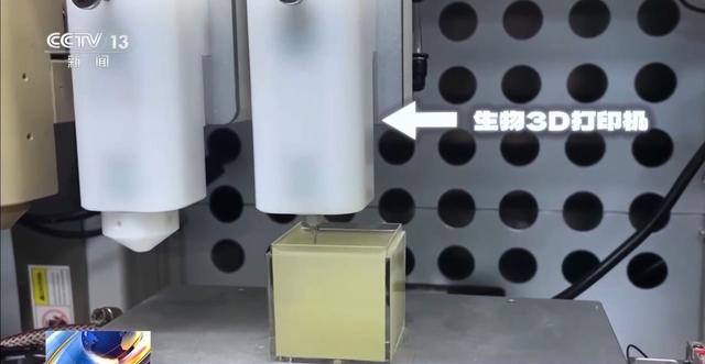 耳朵、骨骼、心脏……探秘神奇的"生物打印"