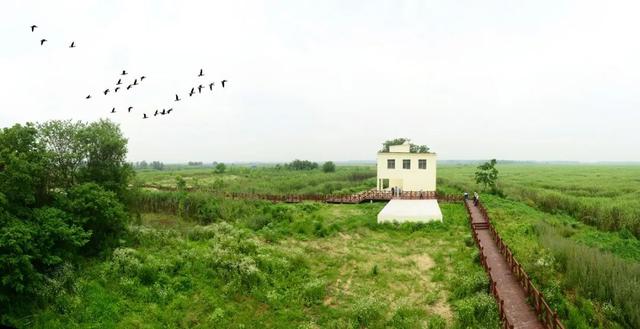 宝藏仙桃，太“鲜”啦！（采风招募）