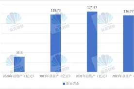 阳光消金成立以来首次出现总资产“缩表”，净利润近三年正向增长图片