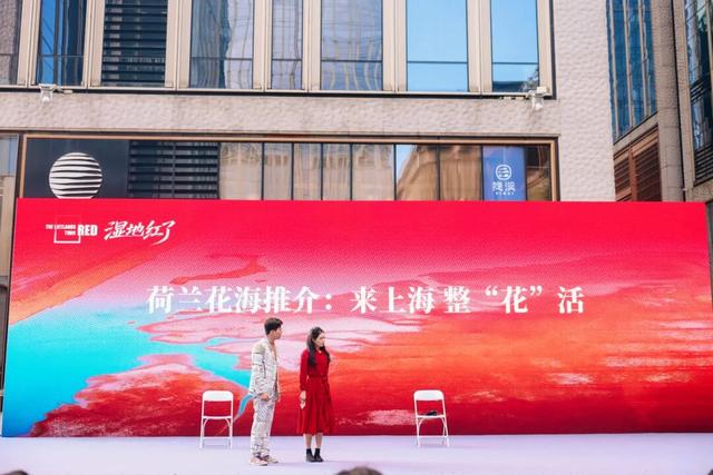 2025 “湿地红了”盐城秋季文化旅游季在沪启幕