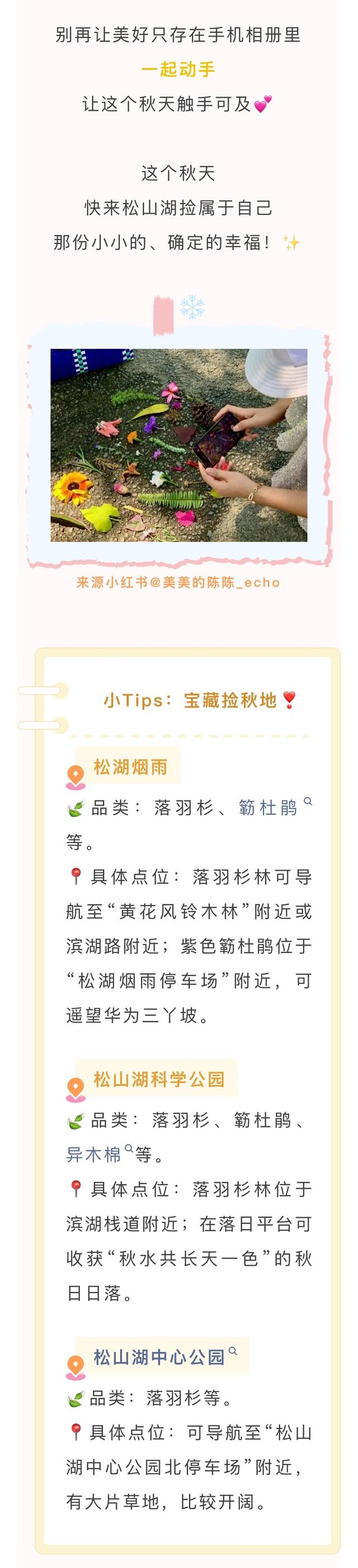 最美松湖｜烦恼No，捡秋Go！来这里一键切换治愈模式