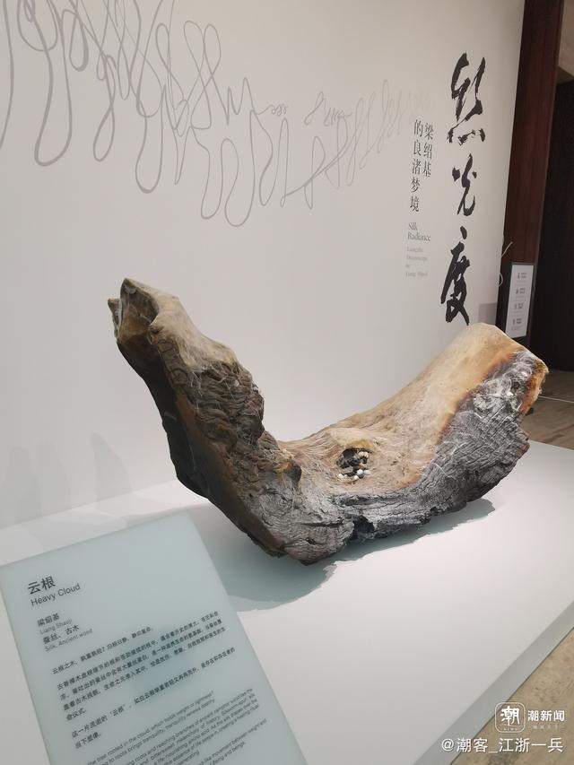 写点生活｜重阳节前游良渚