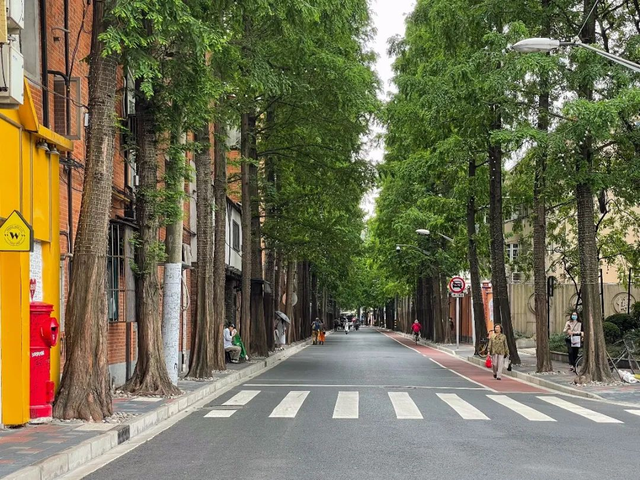 新品！新体验！本周虹口、浦东旅超优惠福利已就位→