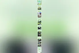 欢迎回家！一起来看熊猫“叻叻”的成长历程图片