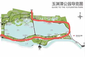 搭地铁去追花 | 玉渊潭早樱成海，官方认证十大“最出片”点位图片