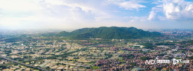 颜值出圈、产业升级、共建共享！“百千万工程”的佛山实践