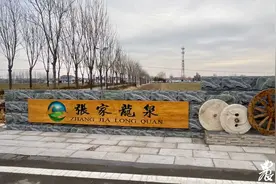 村名印迹|宁阳县蒋集镇张家龙泉村： 一溜龙泉起，共耕汶阳田图片