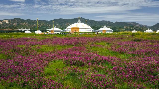 老俞闲话｜内蒙古之旅（第10-12天）