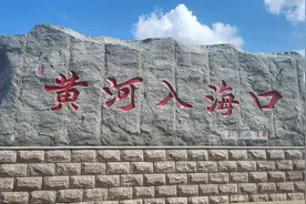沿着黄河遇见海丨白鹭蹁跹、湿地如画 在黄河入海口看见生态保护新答卷图片
