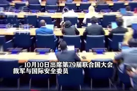 事关核裁军！中方表态图片