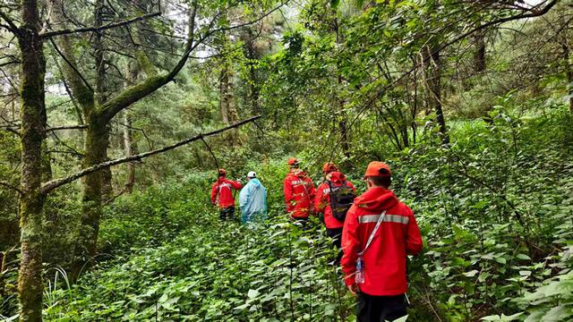 男童在苍山走失 夏令营机构被调查